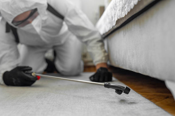 Professional Pest Control technician working in Lenawee County County, MI
